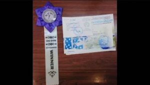 Дар Даршаны Жура. "Снежный бал - Рождественские встречи". "Молосс". САС-ЧФ. Первая победа в дебюте