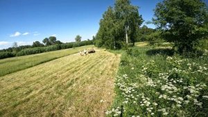 Возим сено на мотоблоке МТЗ-09Н.