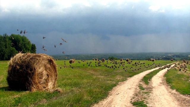 Сударыня-Осень смотреть онлайн