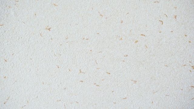 ЖК "Детский мир", видеообзор однокомнатной квартиры. смотреть онлайн