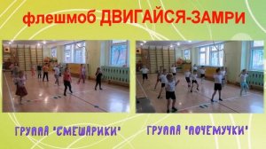 флешмоб "Двигайся-замри"