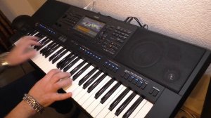 Savage   Only You Yamaha PSR SX700