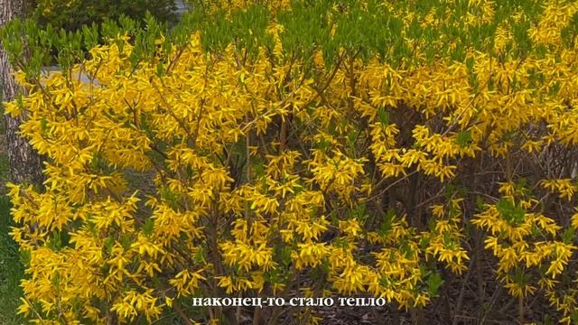 навожу порядок | понять себя, жизнь одной, университет, уют, расхламление, забота о себе, тихий вло