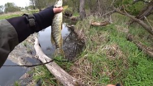 Ловля ЩУКИ на ДЖИГ РИГ с берега, оснастка и монтаж