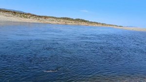 Все реки текут