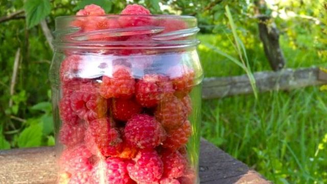 Банка малины фото