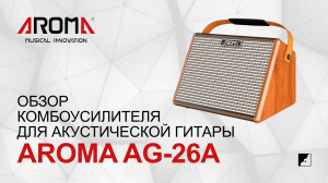 Обзор комбоусилителя для акустической гитары AROMA AG-26A