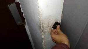 Не открывается домофон изнутри - не работает домофон