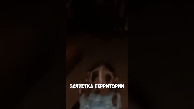 🤣 СМЕШНЫЕ МОМЕНТЫ 😎