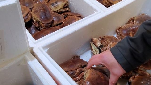 Billingsgate Market London ?? | This Is A Really Fishy Experience смотреть онлайн