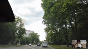 Хирург подобрал пса, ждавшего покойного хозяина на пороге больницы… Спустя время клиника вздрогнула