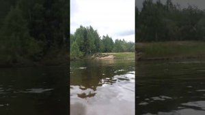 Река Ропча