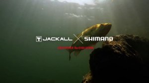 Promo New 2019 Shimano (Vanquish, Bantam, Scorpion, Antares, CALCUTTA CONQUEST DC, POISON, SLX MGL)