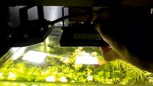 LED прожекторы на аквариуме