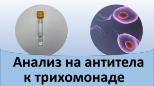 Анализ крови на трихомониаз