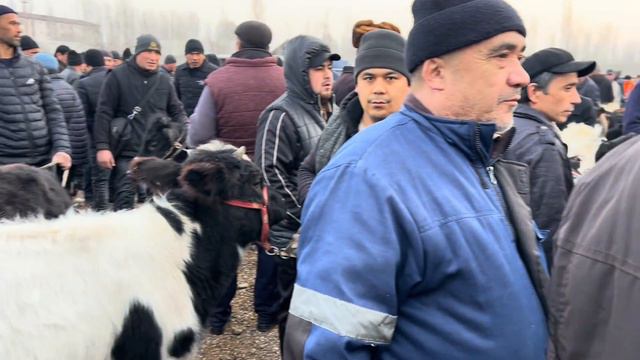 QUM TEPA BOZORI ZO'R BULDI. Hammasidan Bor.  15,02,2024 .