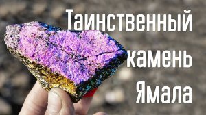 Что Скрывает Райизит? Новый Уникальный Ямальский Самоцвет!