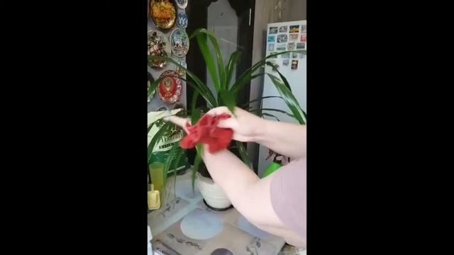 Наблюдения в природе 2 смотреть онлайн