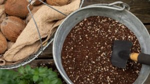 Субстрат для овощей ?️? LECHUZA VEGGIEPON  ?? #овощи #lechuzamoscow #огород