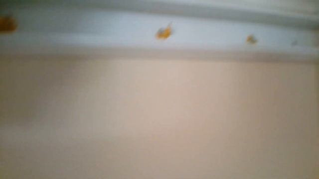 Монтаж кабель-канала монтажным пистолетом TOUA GSN50 смотреть онлайн