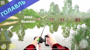 Русская рыбалка 4 - река Вьюнок - Голавль на различных участках реки