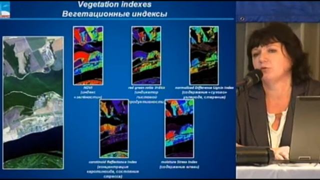 Ю.Н.Журавель. Использование мультиспектральных и гиперспектральных ДДЗ в решении тематических задач