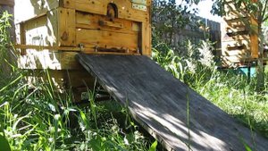 🌺Второе роение в улье № 3, "приокские" пчёлы опять разроились.