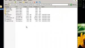 Техподдержка Dr.Web