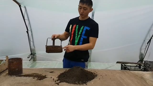 Как подготовить почву для стаканчиков. Соотношение земля-навоз-зола смотреть онлайн