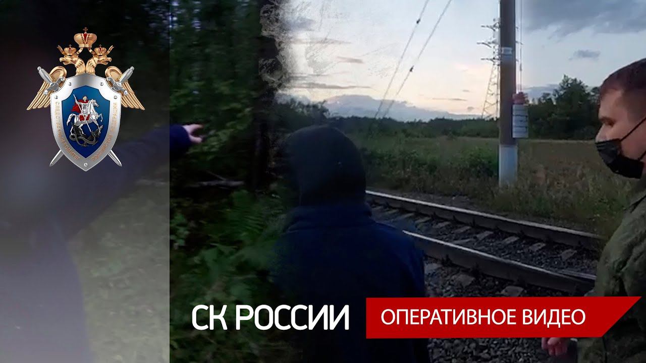 Следствие ходатайствует об аресте «сатанистов», причастных к убийству в Ленинградской области