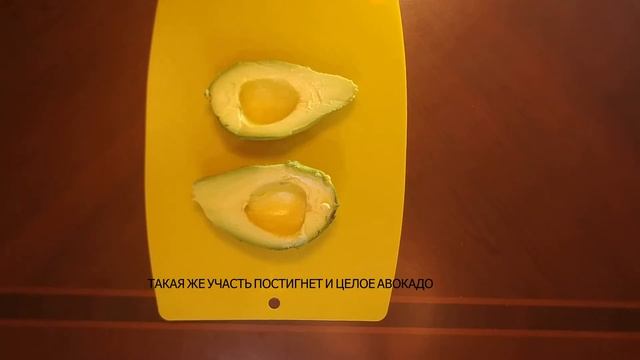 ТАРТАР из Тунца смотреть онлайн