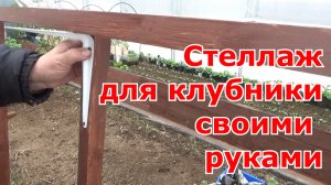 Стеллаж для клубники в поликарбонатную теплицу своими руками.