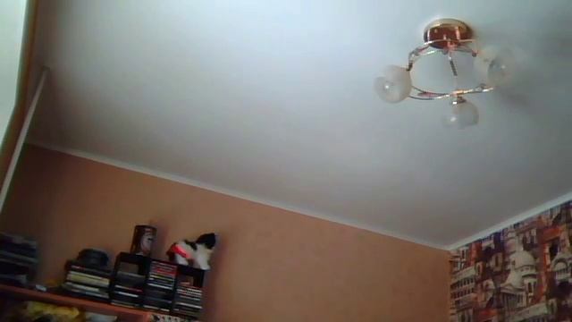 Видео с веб-камеры. Дата: 4 апреля 2014 г., 14:00. смотреть онлайн