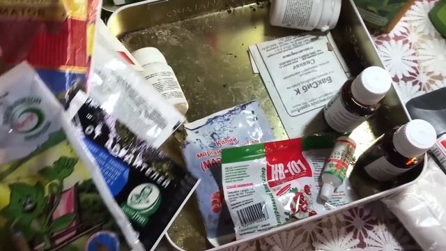 САДОВО-ОГОРОДНЫЕ ДЕЛА НА ДЕКАБРЬ