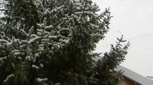 СНЕЖИНКИ СПУСКАЮТСЯ С НЕБА ВСЁ НИЖЕ