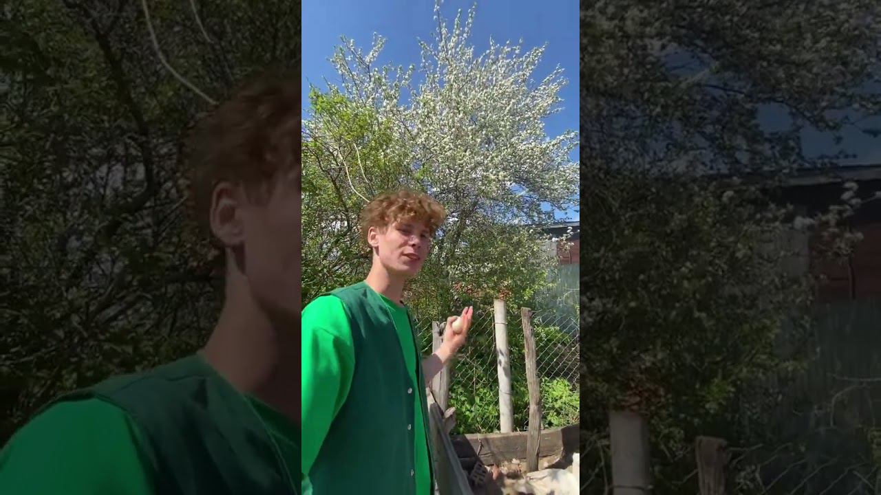 Утки умеют считать яйца, вы знали ? смотреть онлайн