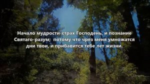 Библия - Притчи Соломона, ГЛАВА 9