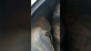 10 ноября 2022 г обзор тойота креста 100 кузов 1jz-gte