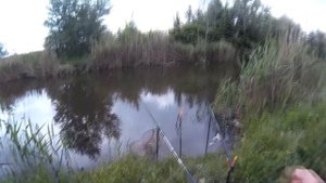 Ловля на поплавок. Карась. Карп.