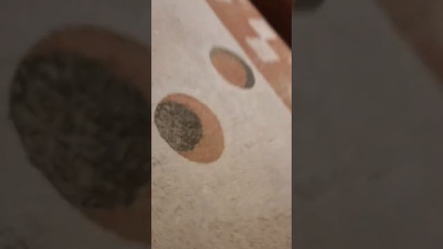 Поведение кота вызывает вопросы