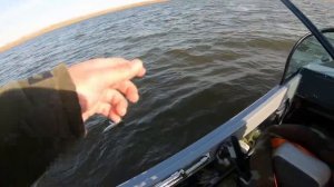 Волжские просторы. Волжанка 51 Фиш. Нижняя Волга, Астраханская область. Ступино. Джиг: судак и щука