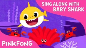 Colors in the Sea | Learn Colors | Sing Along with Baby Shark | Pinkfong Songs for Children