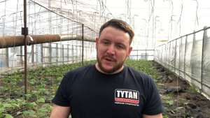 применение флорона по огурцам. опыление шмелями