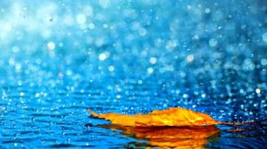 Успокаивающее чтение Корана,под шум дождя