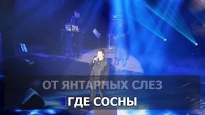КАРАОКЕ 🎤 Евгений Литвинкович - Там нет меня (песня Игоря Николаева) 🎤 сделано в: KARAOKE-BASE.CLUB