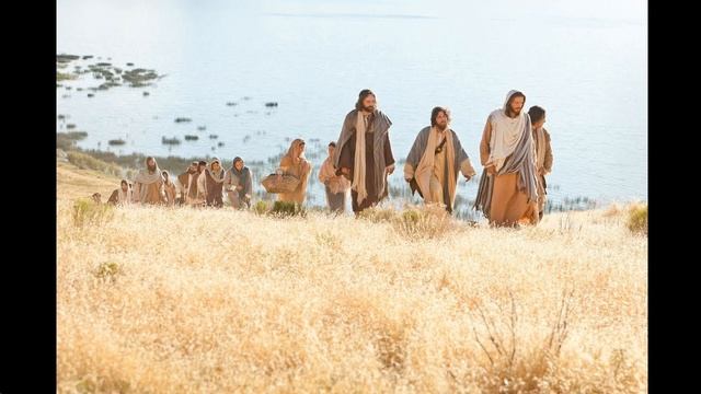 Плевел опьяняющий смотреть онлайн