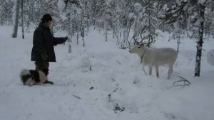 Тийна Карккяйнен (Tiina Kärkkäinen). Миссия в Нумто