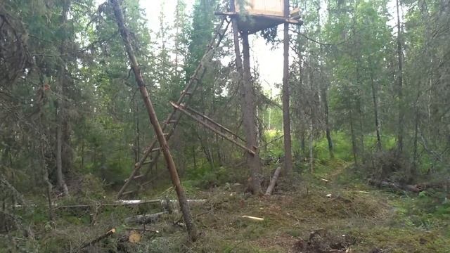 Строим лабаз на медведя. Запись с фотоловушки... смотреть онлайн