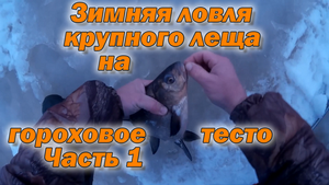 Зимняя ловля крупного леща на гороховое тесто Часть 1.mp4