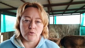 Когда лучше покупать козу???